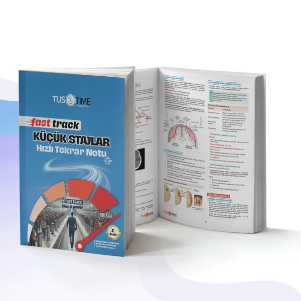 Fast Track Küçük Stajlar - 5